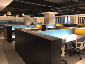 中新網安2021年數據挖掘崗位職責 看準網