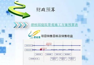 碧桂園項目策劃與公關(guān)服務(wù) 創(chuàng)新實踐與策略解析