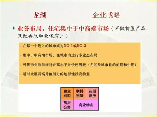 2019年龍湖房產(chǎn)項目實施策劃與公關(guān)服務(wù)方案